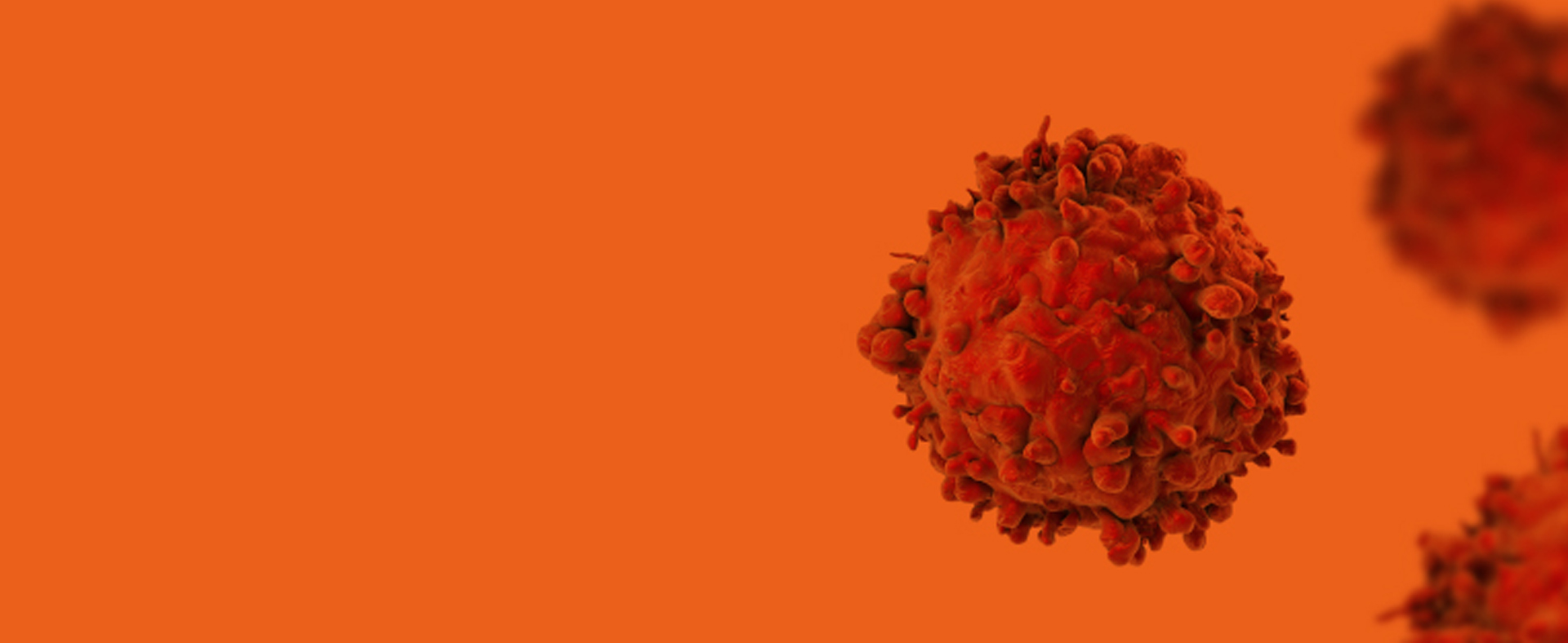 Axis Bio Discovery Services